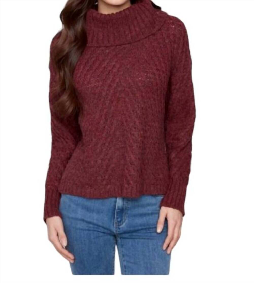 NEW CHARLIE B cowl neck diagonal cable sweater in red